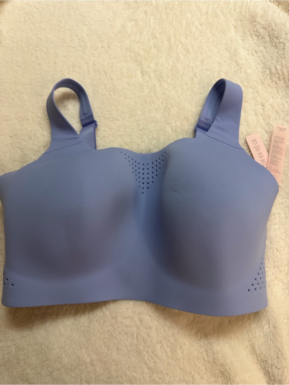 Victorias Secret VSX Featherweight Max High Impact Sports Bra NWT 36DDD Lt Green